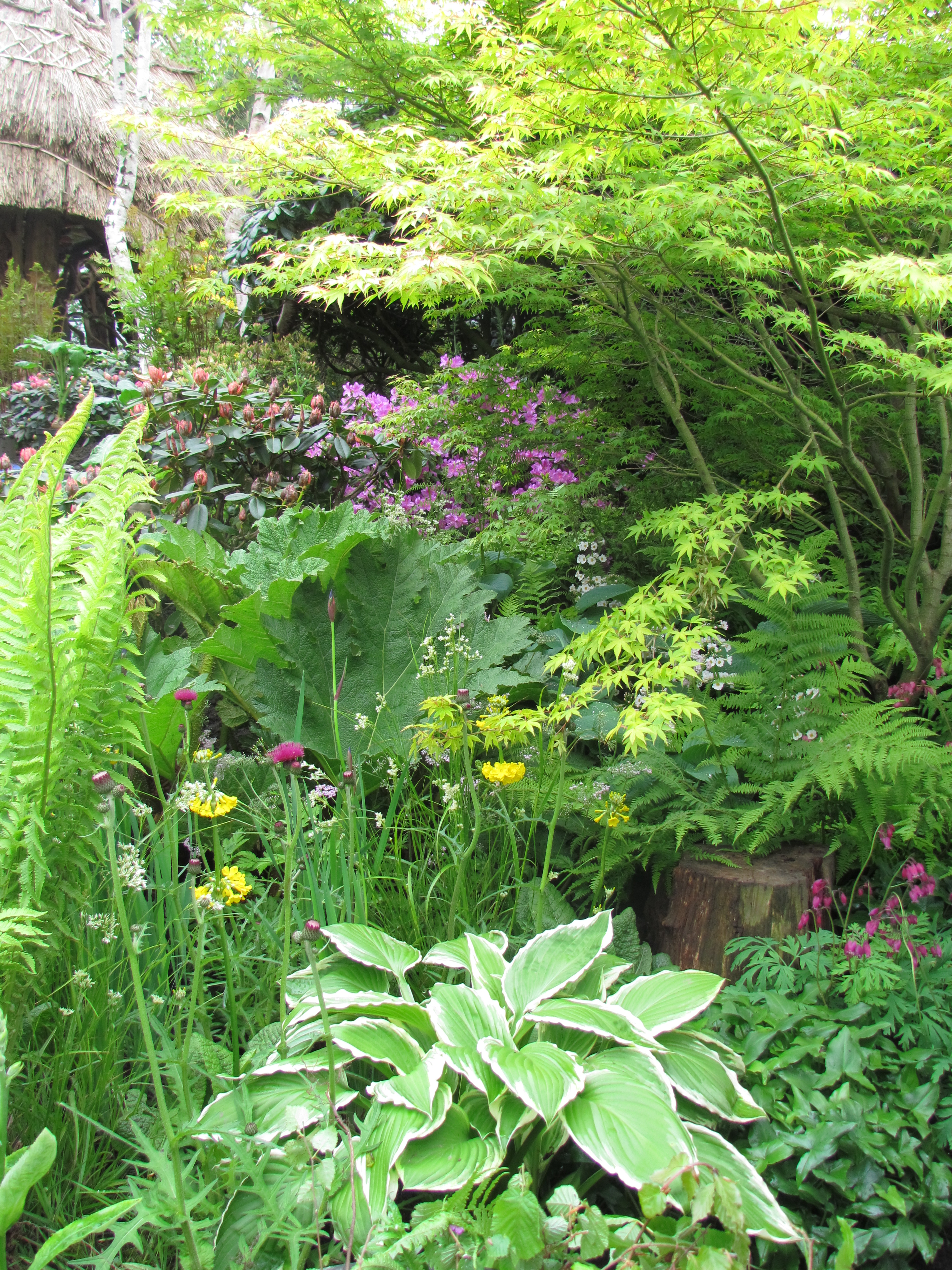 LONDON_CHELSEA FLOWER SHOW 2012 314